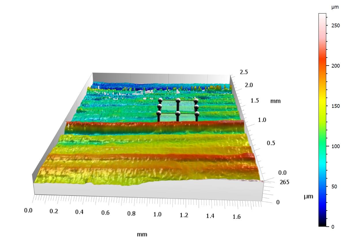 3D Morphology of Rice Leaf